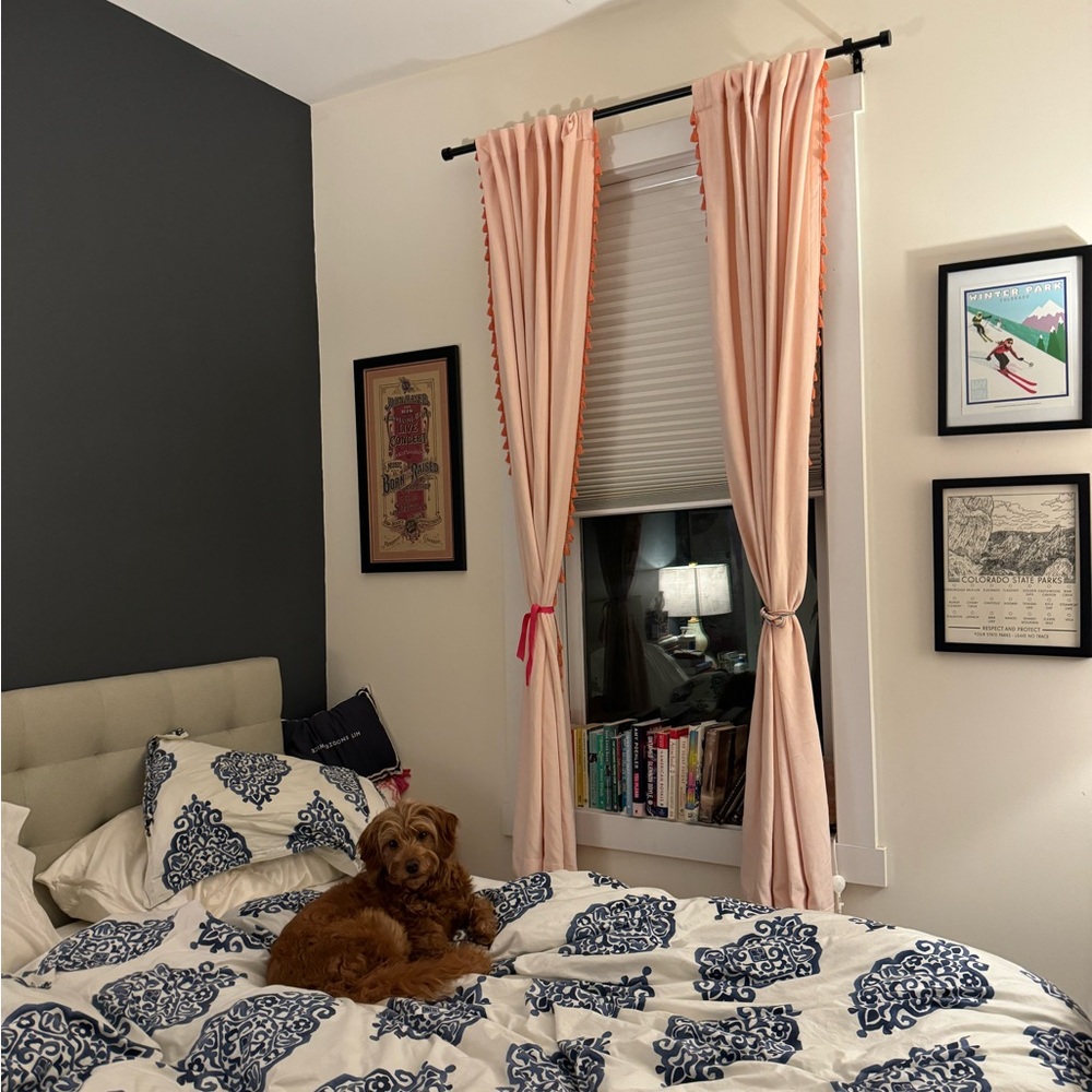 TWO Panels Opalhouse Velvet Pink and Orange Drapes Curtains